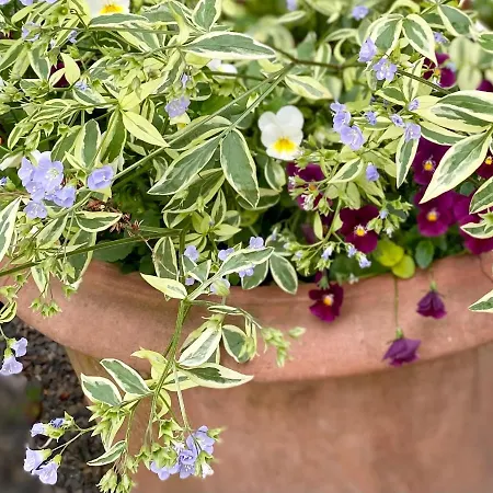 Gronocottage Διαμέρισμα *