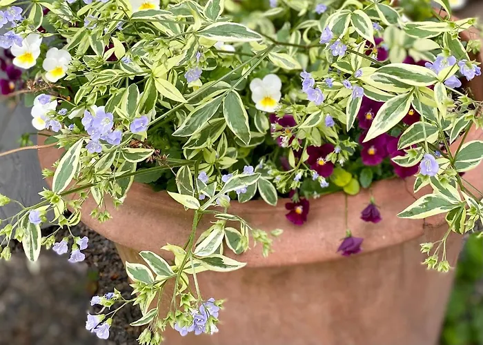 Gronocottage Appartamento *