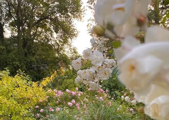 Gronocottage Appartamento