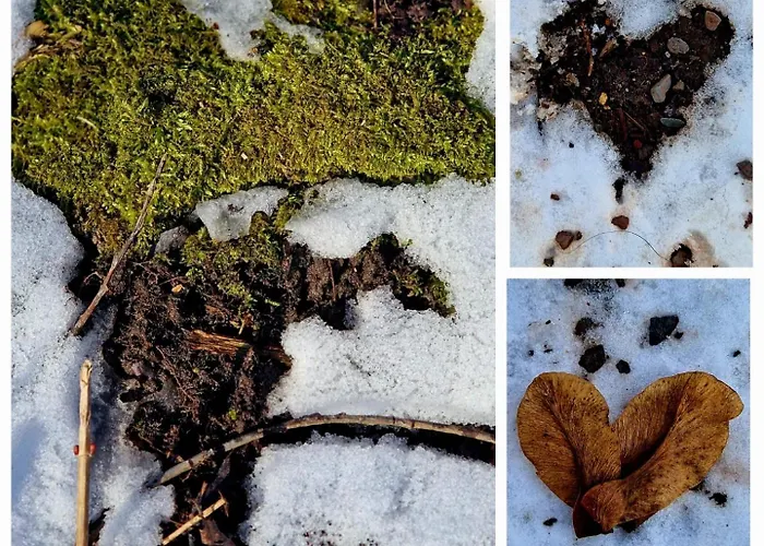 Appartamento Gronocottage